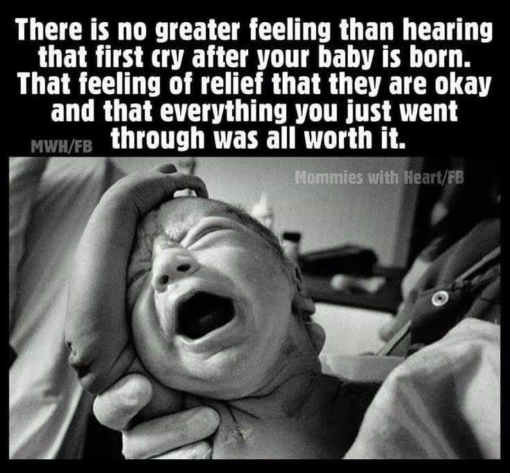 FB_IMG_1572959820055 (1)